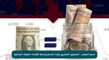سعر الدولار.. المركزي المصري يثبت السعر وسط تقلبات البنوك المحلية